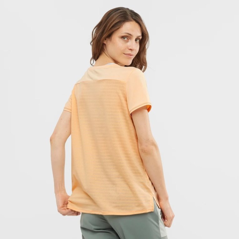 Apricot Salomon Outline Summer Short Sleeve Women's T-Shirts | IE AZ9503